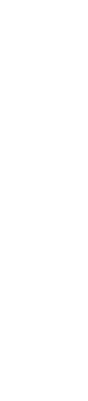 濃厚な卵の美味しさを味わう